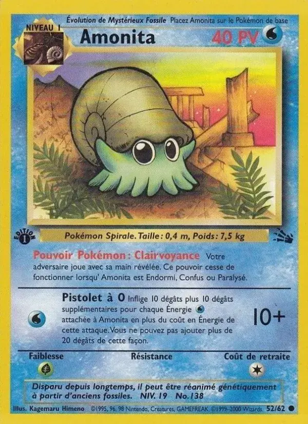 Amonita - 52/62 - Fossile