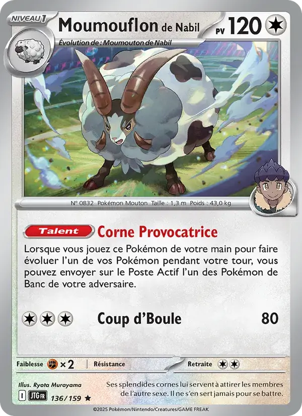 Moumouflon de Nabil - 136/190 - Aventures Ensemble