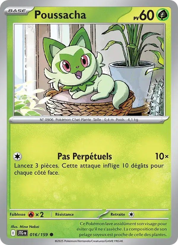 Poussacha - 016/190 - Aventures Ensemble