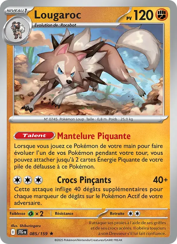 Lougaroc - 085/190 - Aventures Ensemble