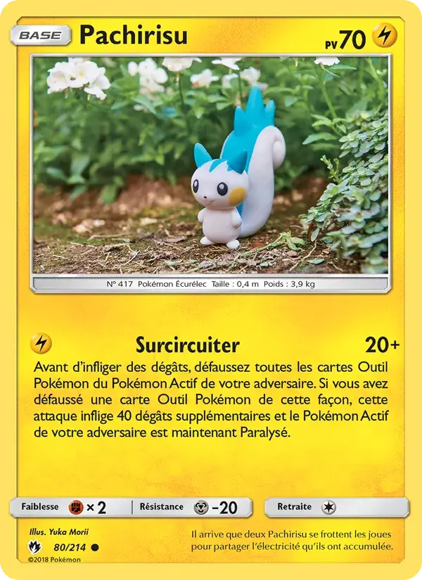 Pachirisu - 80/236 - Tonnerre Perdu