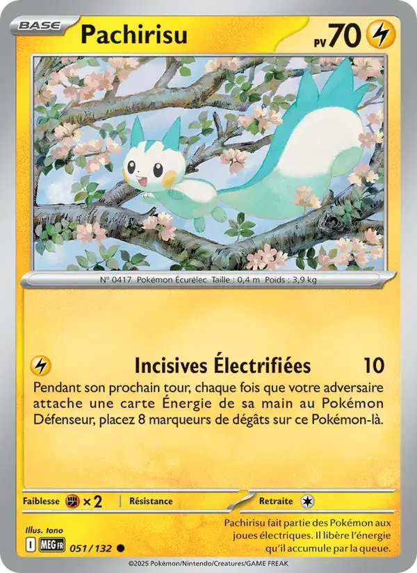 Pachirisu - 051/188 - Méga-Évolution