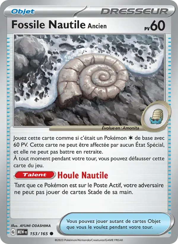 Fossile Nautile Ancien - 153/207 - 151