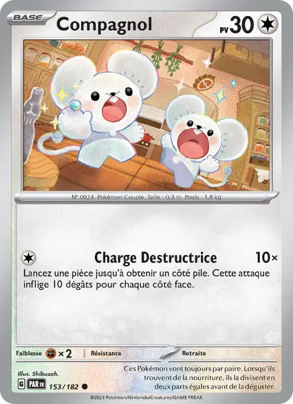 Compagnol - 153/266 - Faille Paradoxe