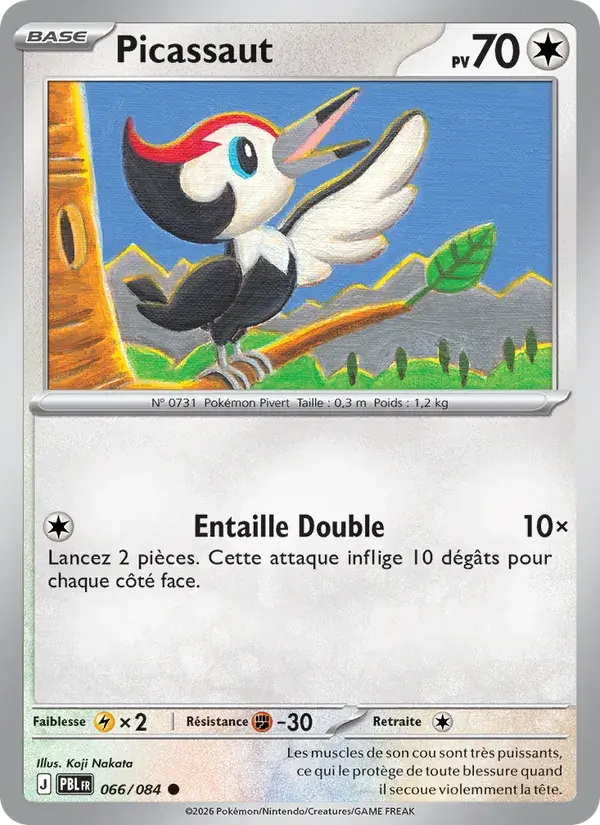 Picassaut - 066/120 - Nuit Noire