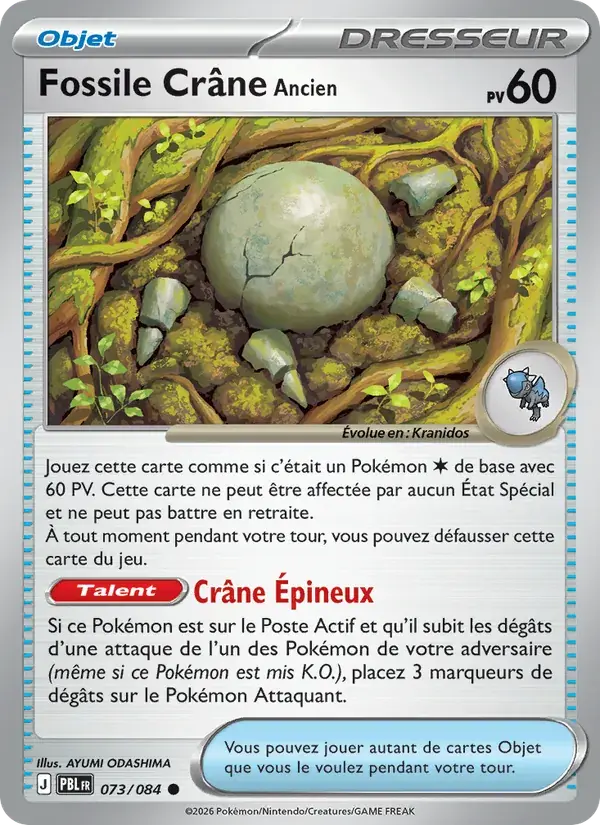 Fossile Crâne Ancien - 073/120 - Nuit Noire