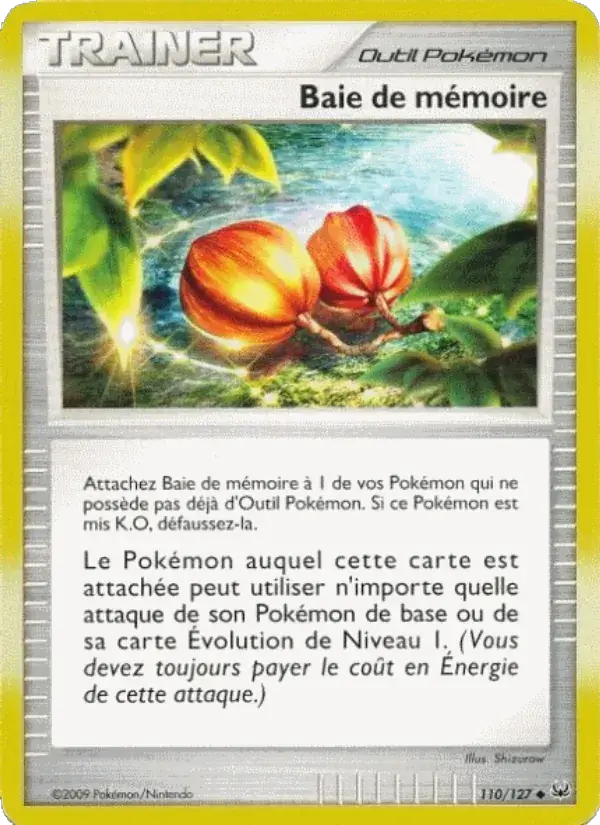 Baie de mémoire - 110/133 - Platine