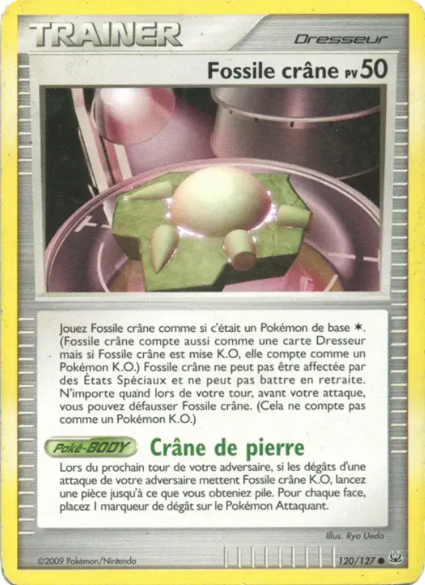 Fossile Crâne - 120/133 - Platine