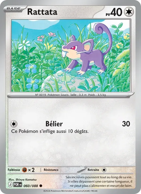 Rattata - 060/124 - Équilibre Parfait