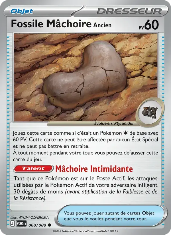 Fossile Mâchoire Ancien - 068/124 - Équilibre Parfait
