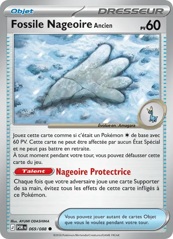 Fossile Nageoire Ancien - 069/124 - Équilibre Parfait