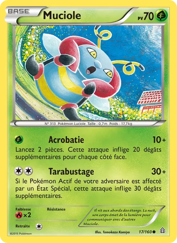 Muciole - 17/164 - Primo-Choc