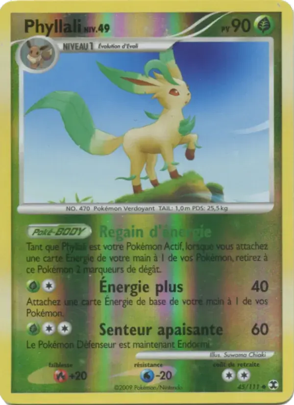 Phyllali Niv. 49 - 45/120 - Rivaux Émergeants