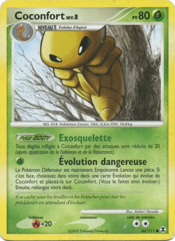 Coconfort Niv. 8 - 66/120 - Rivaux Émergeants