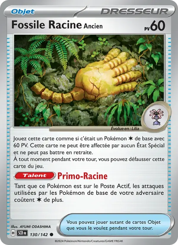 Fossile Racine Ancien - 130/175 - Couronne Stellaire
