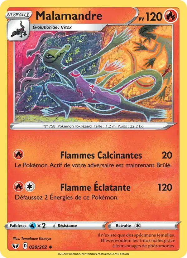 Malamandre - 28/216 - Épée et Bouclier