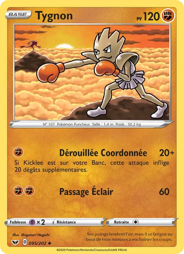 Tygnon - 95/216 - Épée et Bouclier
