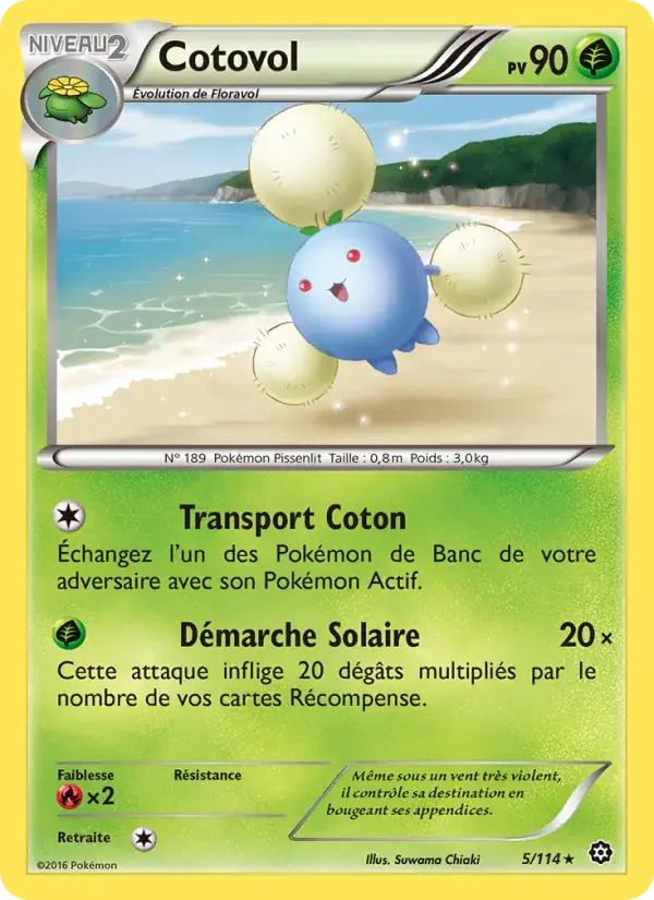 Cotovol - 5/116 - Offensive Vapeur