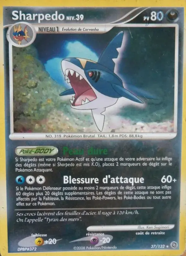 Sharpedo - 37/132 - Merveilles Secrètes