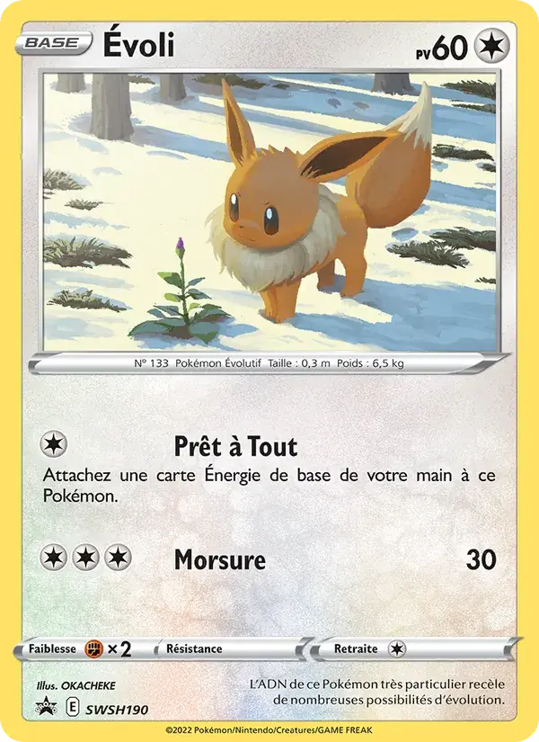Évoli - SWSH190/307 - Promo SWSH