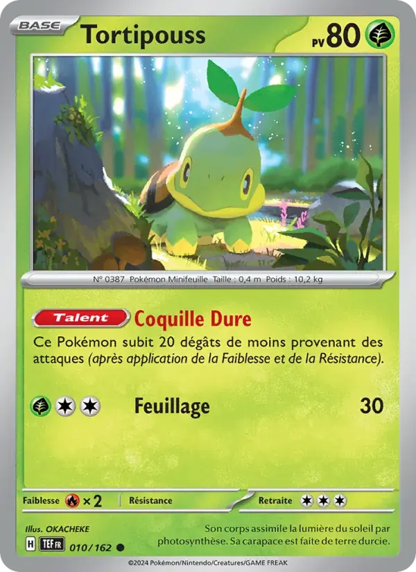 Tortipouss - 010/218 - Forces Temporelles