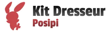 EX Kit dresseur (Positi)