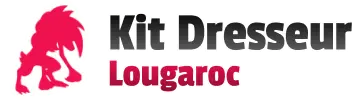 SM Kit du dresseur (Lougarox)