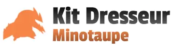BW Kit du dresseur (Minitaupe)