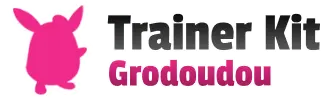 XY Kit du dresseur (Grodoudou)