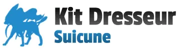 XY Kit du dresseur (Suicune)