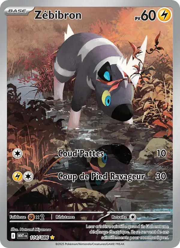 Zébibron - 114/173 - Flamme Blanche