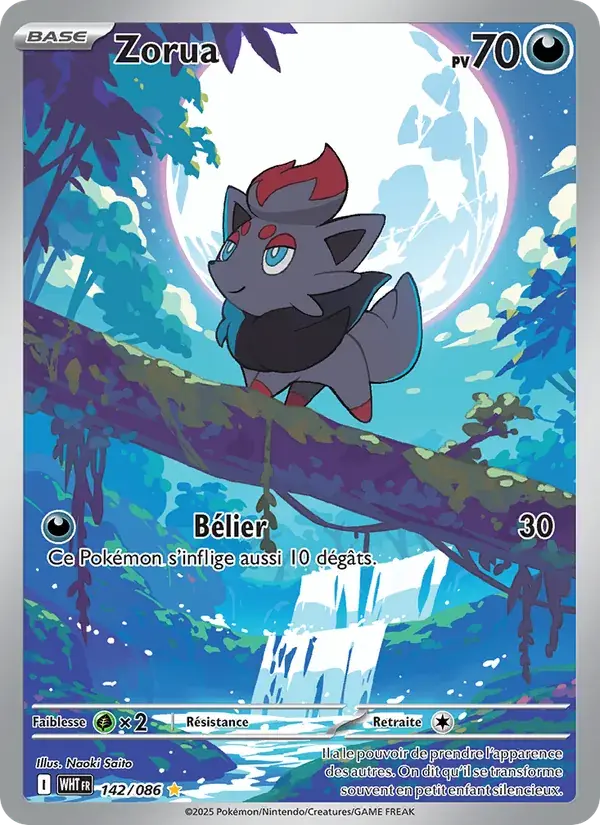 Zorua - 142/173 - Flamme Blanche