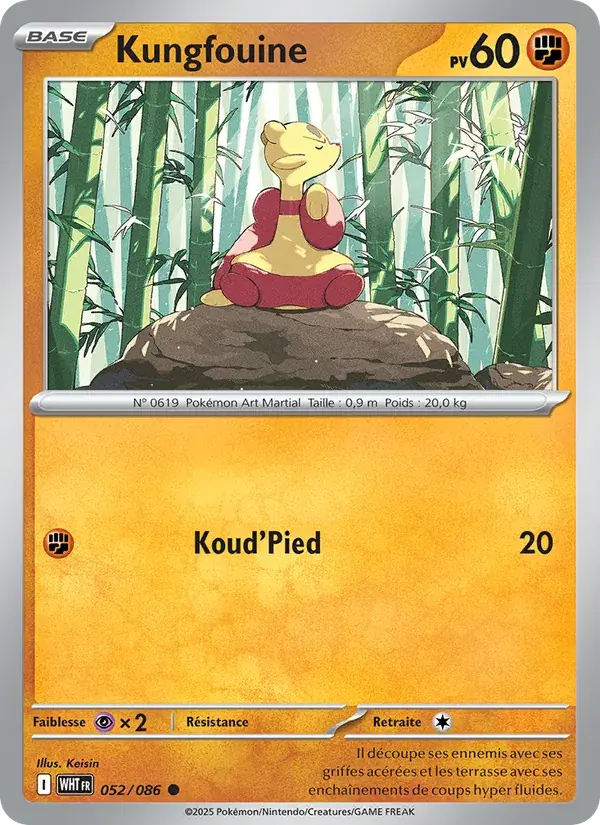 Kungfouine - 052/173 - Flamme Blanche