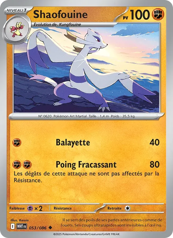 Shaofouine - 053/173 - Flamme Blanche