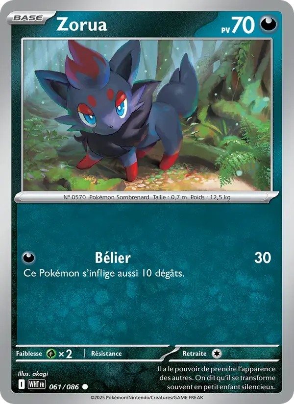 Zorua - 061/173 - Flamme Blanche