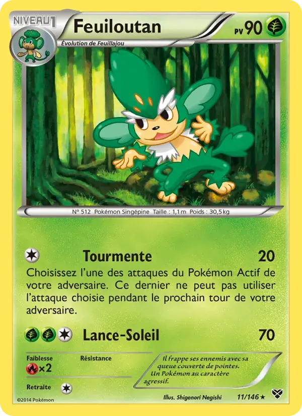 Feuiloutan - 11/146 - XY