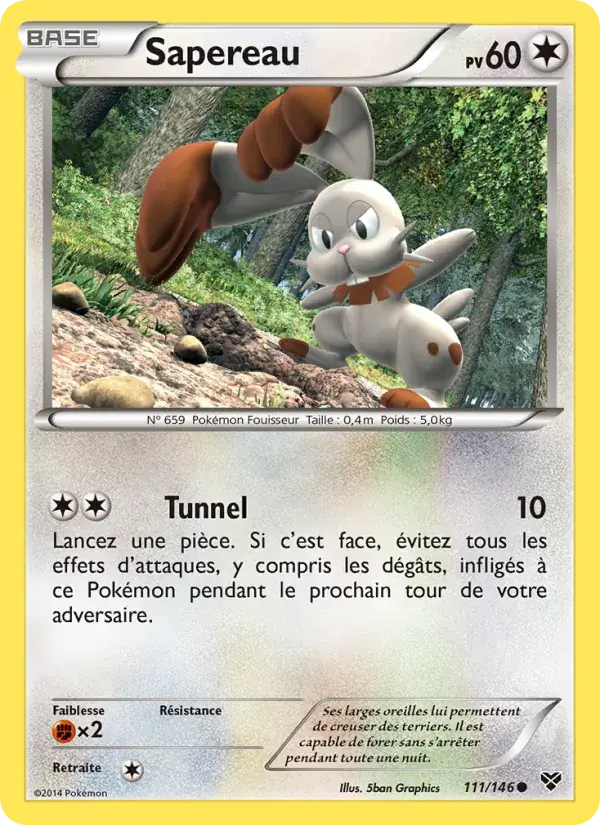 Sapereau - 111/146 - XY