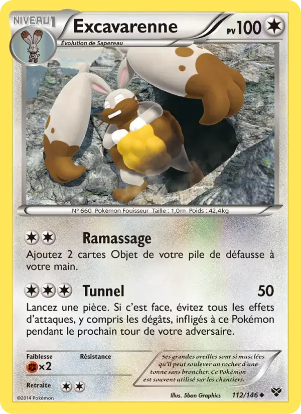 Excavarenne - 112/146 - XY