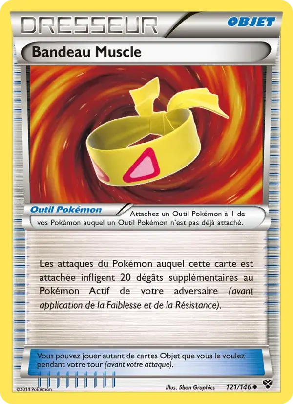 Bandeau Muscle - 121/146 - XY