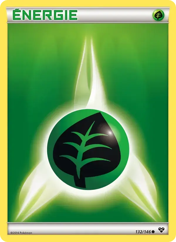 Énergie Plante - 132/146 - XY