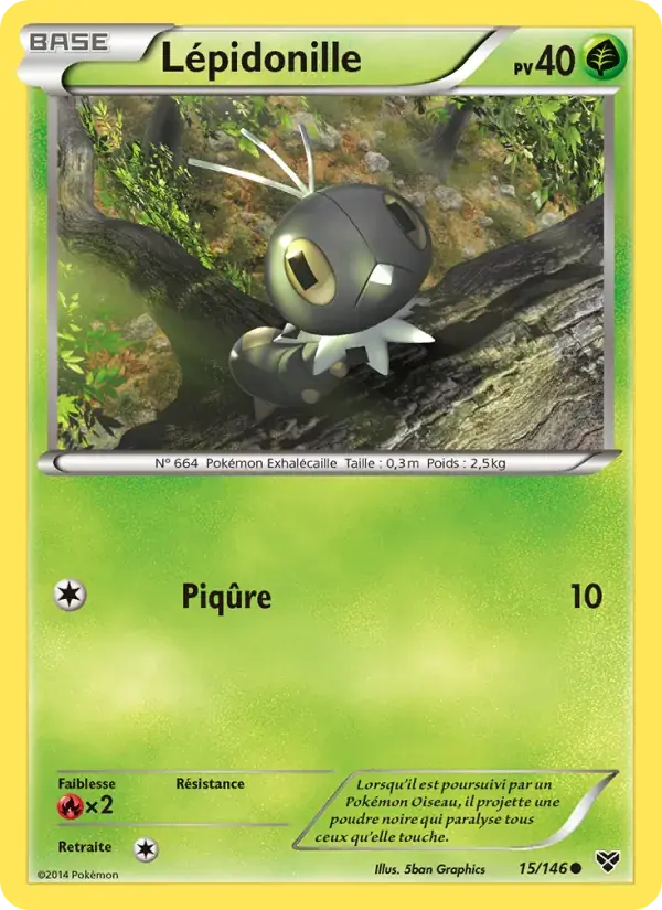 Lépidonille - 15/146 - XY