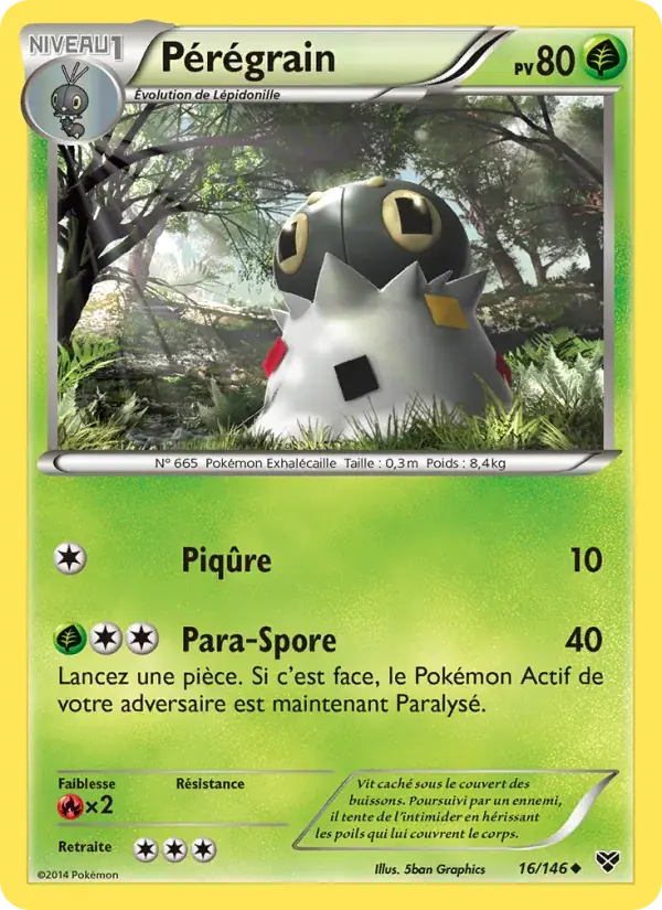 Pérégrain - 16/146 - XY