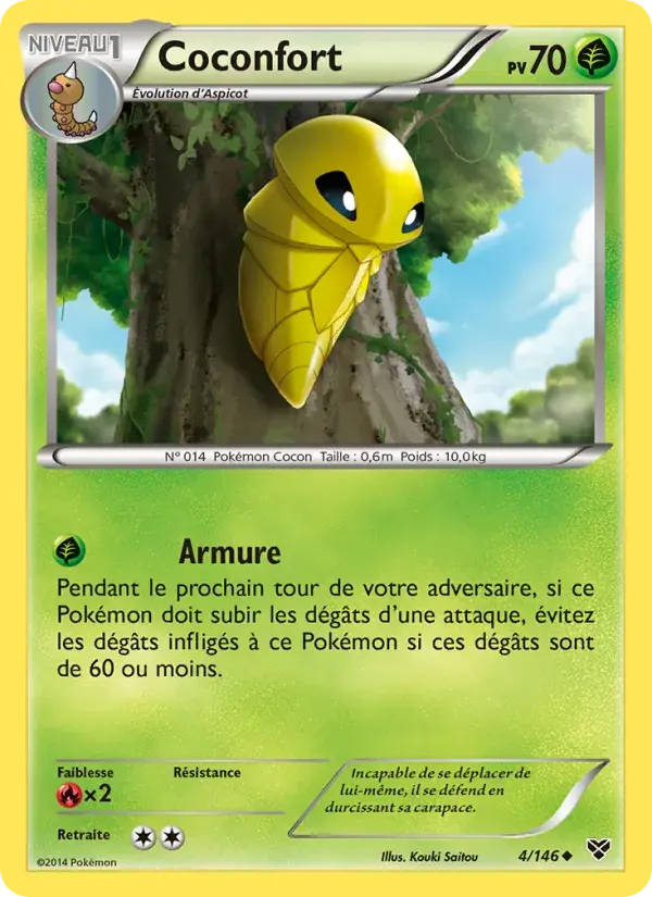 Coconfort - 4/146 - XY