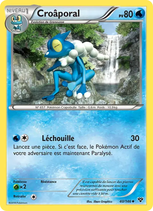 Croâporal - 40/146 - XY