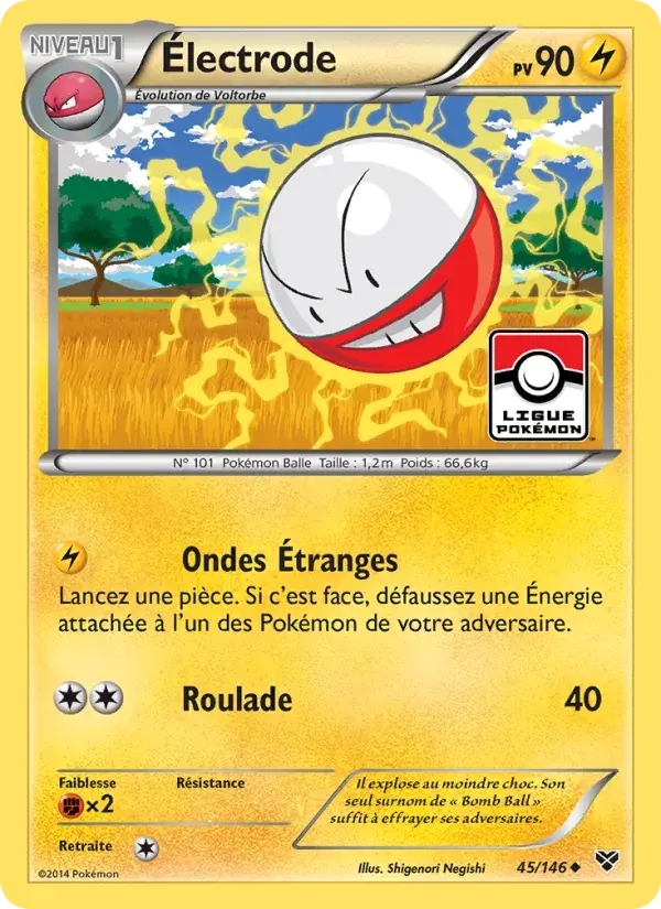 Électrode - 45/146 - XY