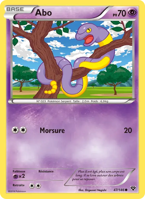 Abo - 47/146 - XY