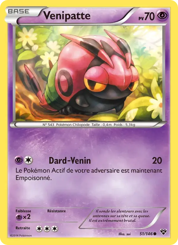 Venipatte - 51/146 - XY