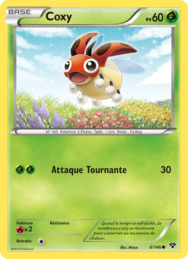 Coxy - 6/146 - XY