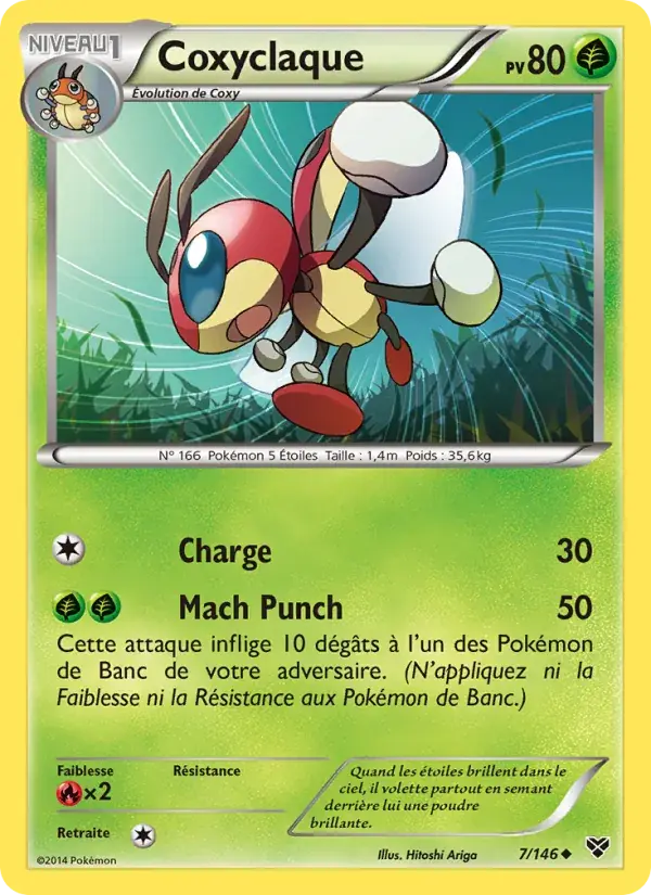 Coxyclaque - 7/146 - XY