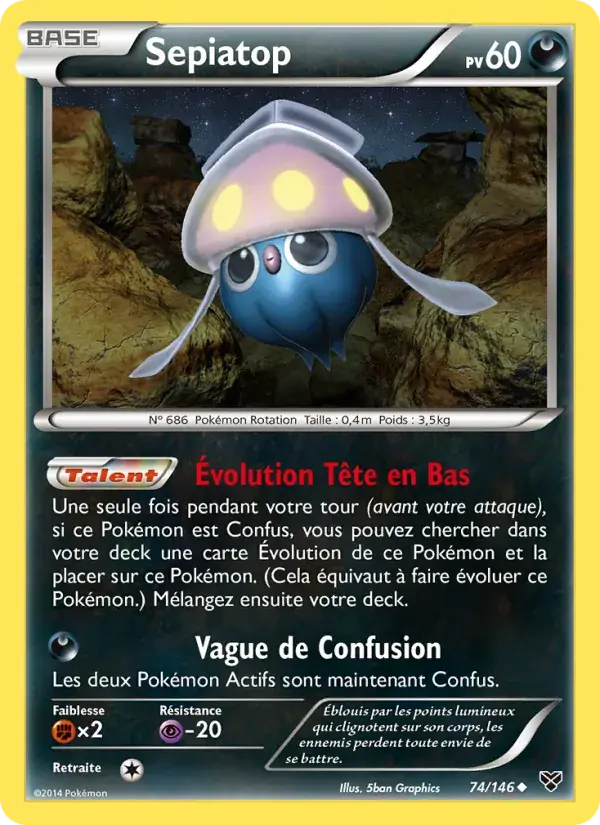 Sepiatop - 74/146 - XY